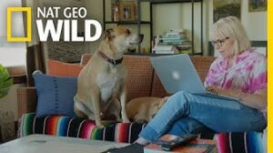 The Trouble with Ollie | Cesar Millan: Better Human Better Dog