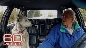 The smartest dog in the world | 60 Minutes