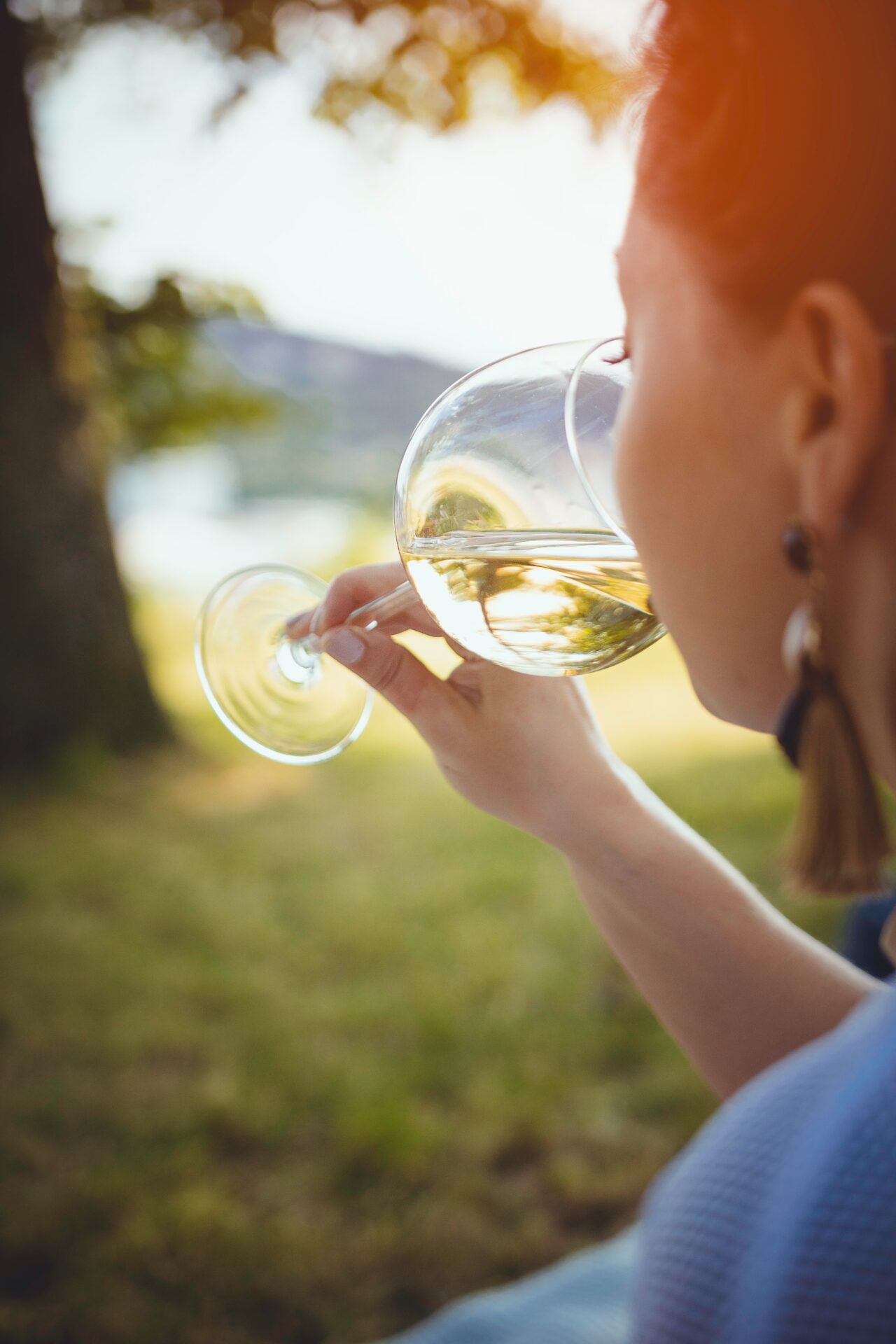 Wine | Wine Tasting