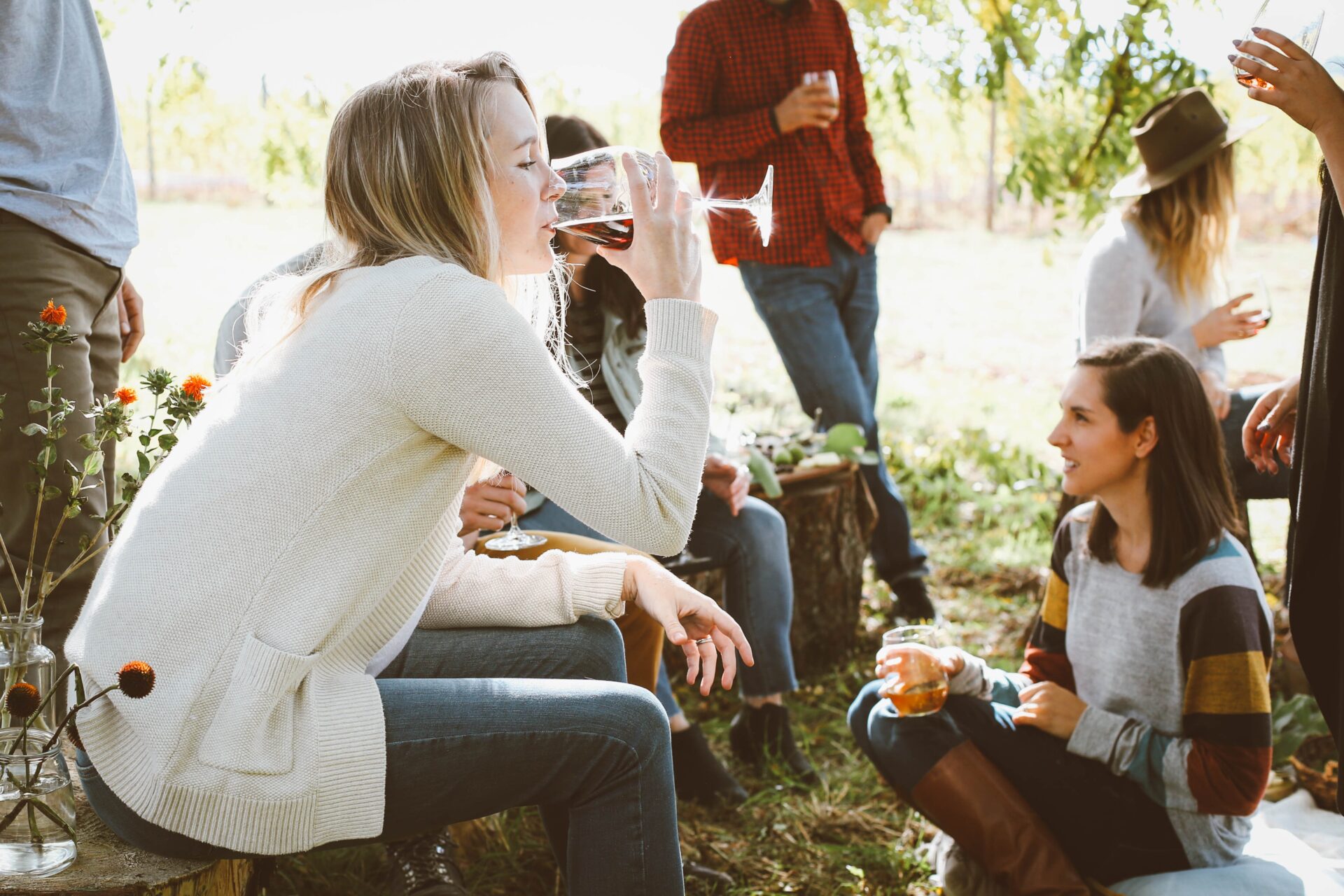 Wines | Wine Tasting