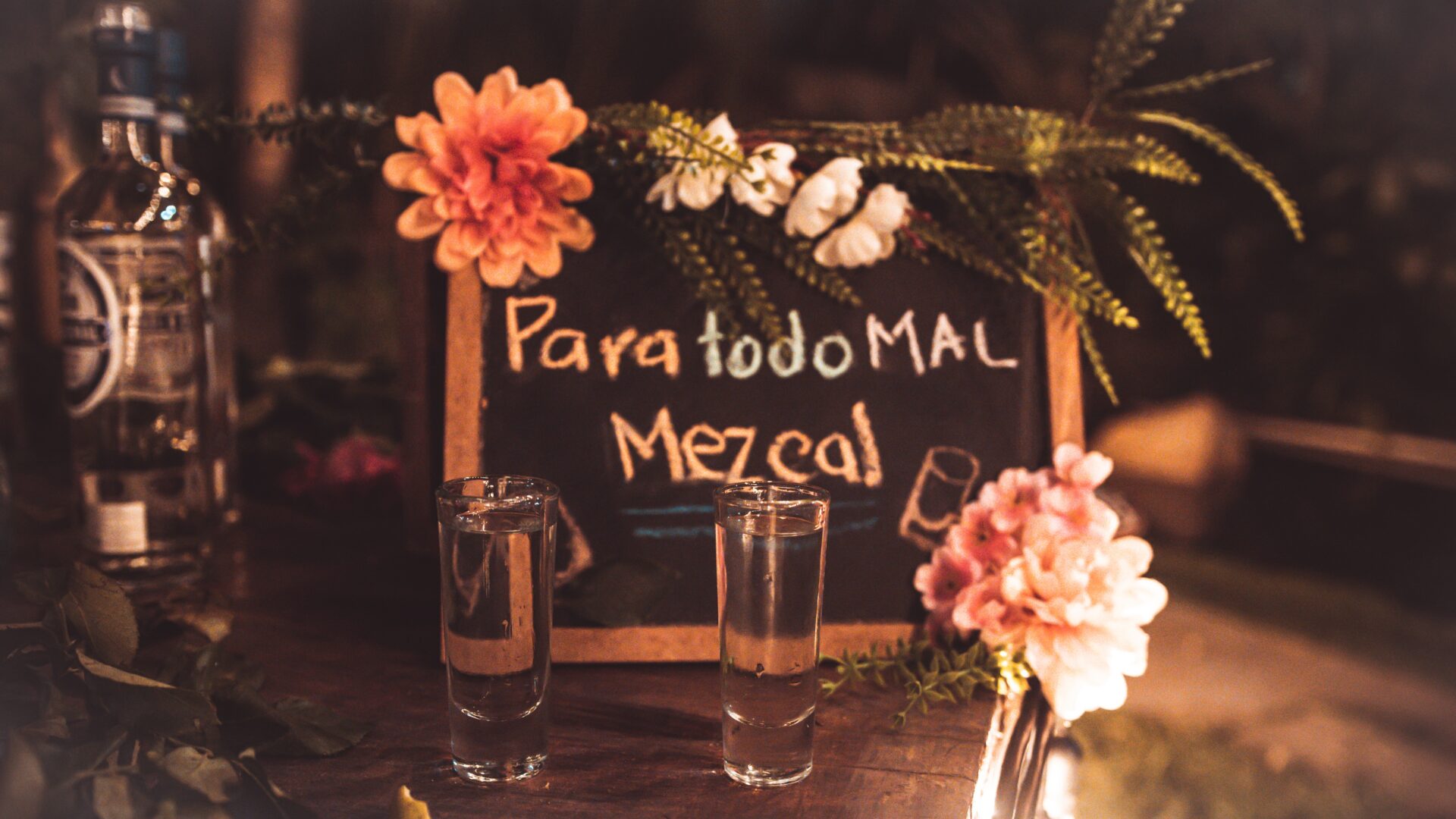 mezcal cocktails