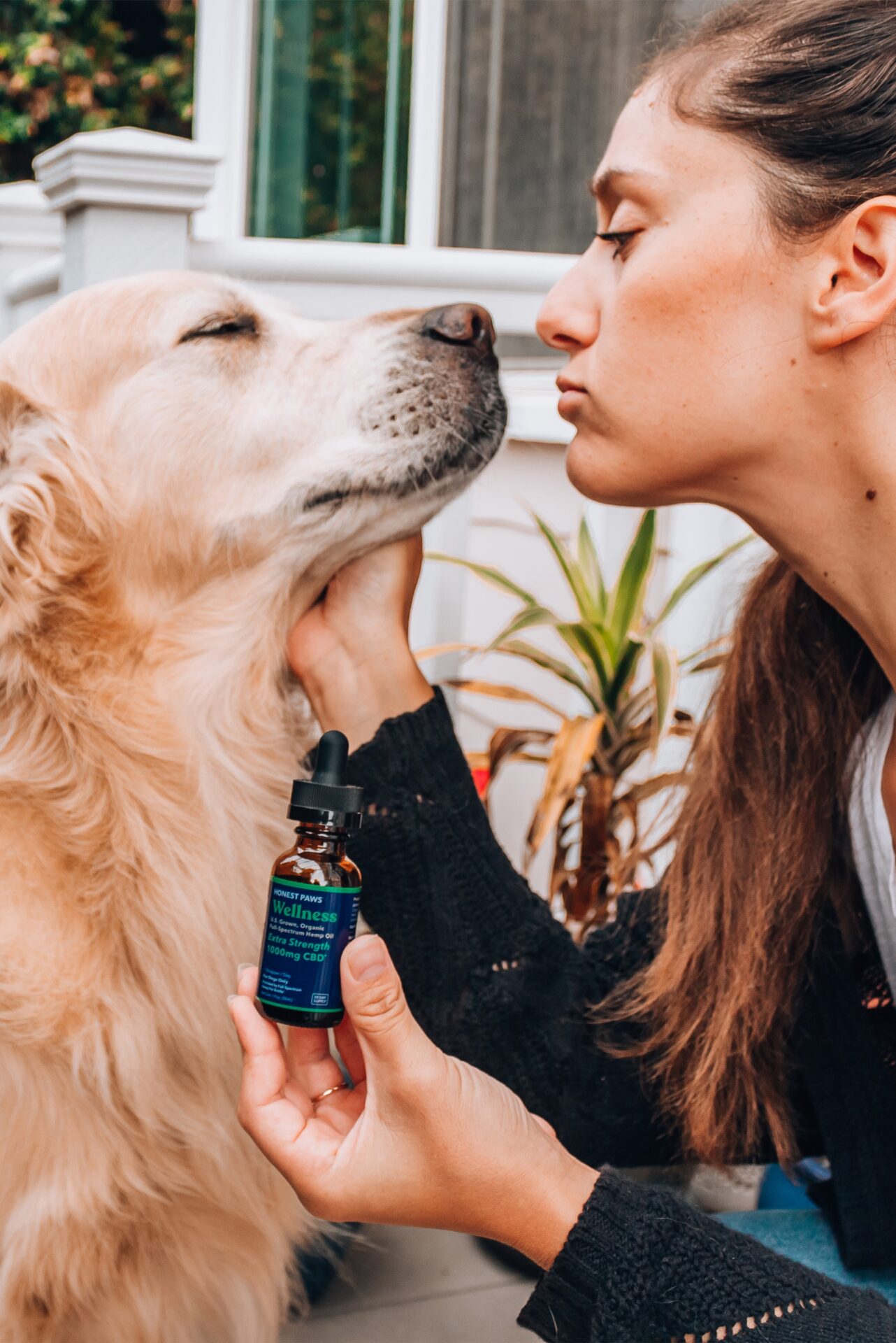 Potential Benefits of CBD for Dogs