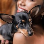 signs of anxiety and stress in dogs