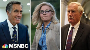 Raskin floats Liz Cheney, Mitt Romney, Angus King as consensus speaker options