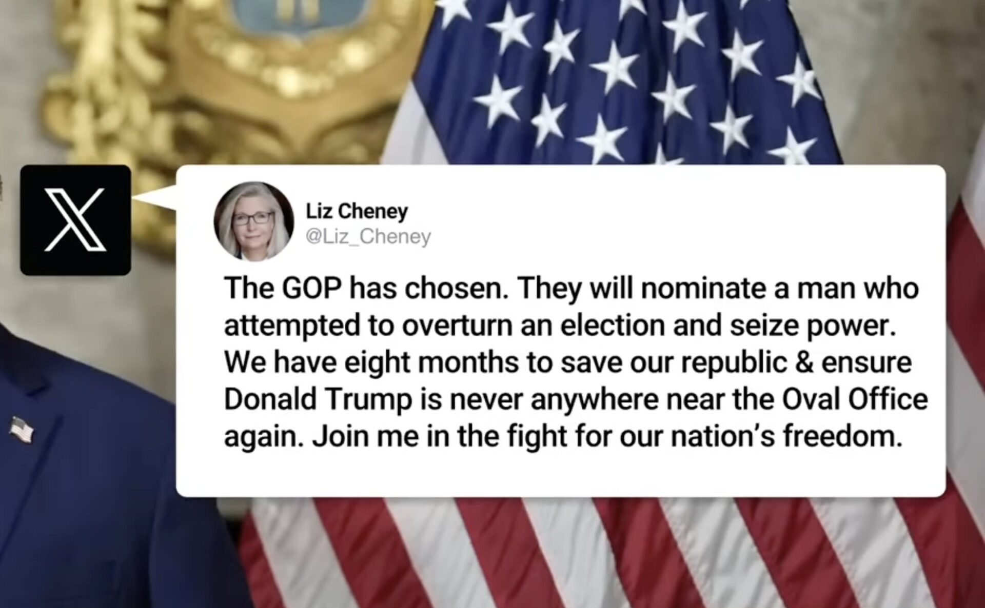 Video: Liz Cheney's warning to America: ‘We have eight months to save ...