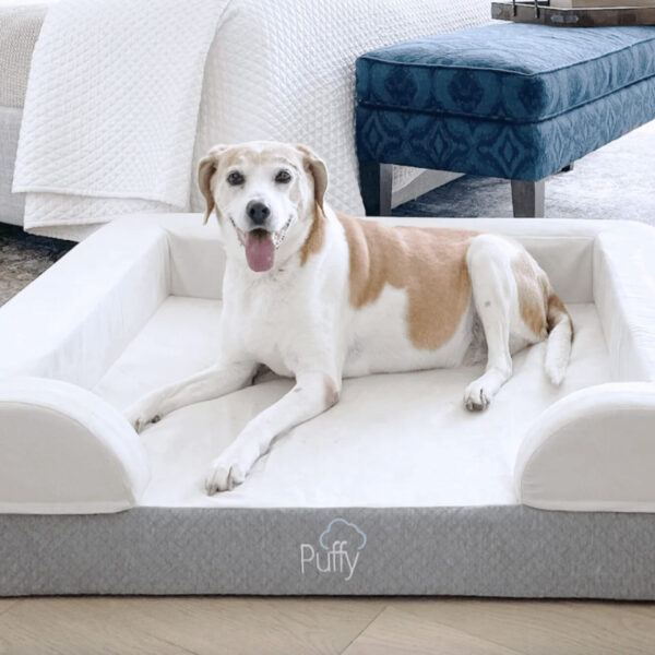 Puffy Dog Bed